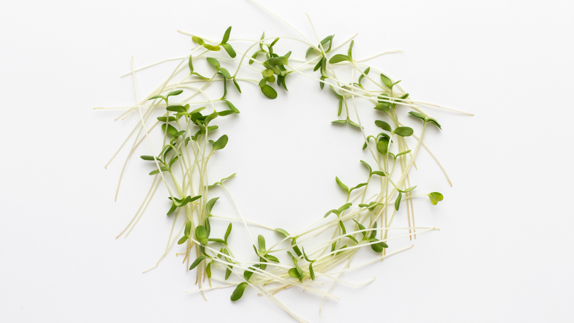 Circle of Microgreens