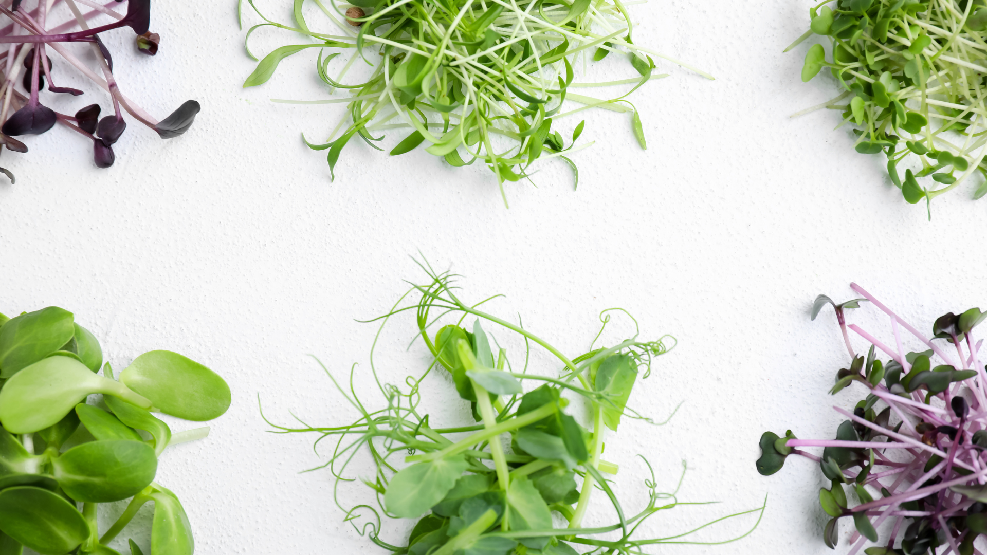 Microgreens