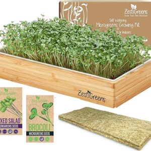 Self Watering Microgreens Kit