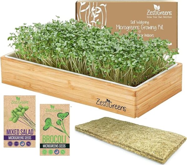 Self Watering Microgreens Kit