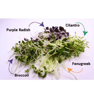 Rebalance and Restore Microgreens