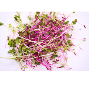 Revitalize Iron Microgreens