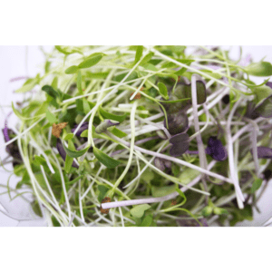 Vitamin Vitality Microgreens