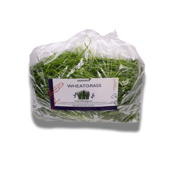 Bag of Fresh Wheatgrass